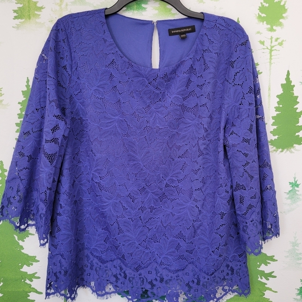 Banana Republic LinedLace Blouse.